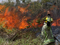 Firefighters combat the fire In Porto Velho, capital of the state of Rondonia, on September 7, 2021. A small fire inside the city was contro...
