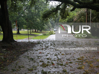 The strong winds left tree limbs and leaves covering many streets. (