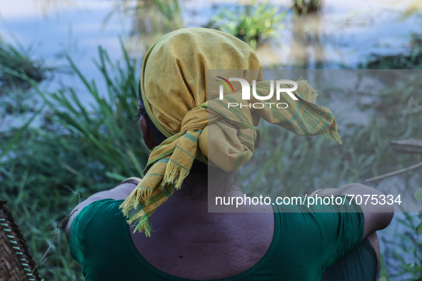 Bodo community woman takes rest during fishing at a mud water field, at a village on September 15, 2021 in Baksa, India. Bodo or Boro Kachar...