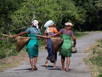 Bodo community women returns holding traditional fishing equipment Jakoi, after fishing, at a village on September 15, 2021 in Baksa, India....