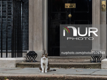 LONDON, UNITED KINGDOM - SEPTEMBER 15, 2021: Larry the cat is seen outside Downing Street as British Prime Minister Boris Johnson is conduct...