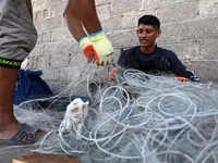  Palestinian fishermen sort out crabs along the beach in Gaza City, on September 19, 2021.
 (