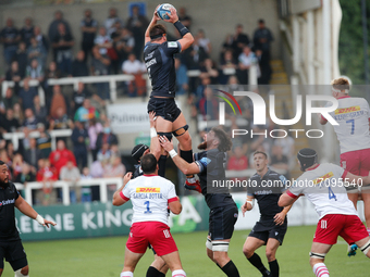   Sean Robinson of Newcastle Falcons takes clean line out ball  during the Gallagher Premiership match between Newcastle Falcons and Harlequ...