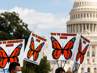 Protesters hold monarch butterfly (a frequent symbol of immigrants in the US) signs in front of the Capitol during a march for permanent res...