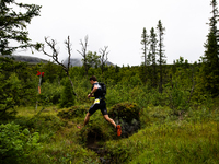 The technical and difficult run course, a trail running session in the Swedish forrest and mountains over Åre, Sweden, at Swedeman 2021. (