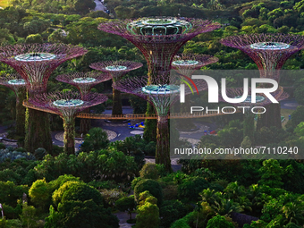 A general view of the Supertree Grove at the Gardens by the Bay on September 22, 2021 in Singapore.  (