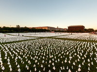 More than 670,000 white flags cover 20 acres of the National Mall in an art memorial for Covid-19 victims by Suzanne Brennan Firstenberg ent...