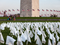 Flags in section 00 are some of the more than 670,000 white flags covering 20 acres of the National Mall in an art memorial for Covid-19 vic...