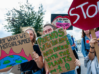 A group of female students are holding placards in support of the planet, during the Global Climate Strike organized in Utrecht, on Septembe...