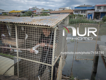A man looks at a pigeon as he stands at a cage on a river-side near the fisherman’s colorful bazaar in the seaport city of Anzali 366 Km (22...