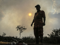 Firefighter from Manggala Agni stand on burned area at Pekan Baru, Riau, Indonesia, at August 02. 2015. During Indonesia’s annual dry season...