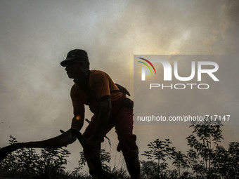 Firefighter from Manggala Agni carry water hose on burned area at Pekan Baru, Riau, Indonesia, at August 02. 2015. During Indonesia’s annual...