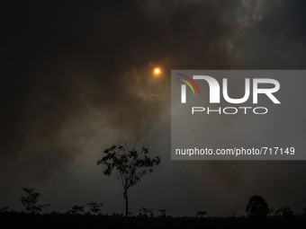 Sun covered smoke haze at burned area at Pekan Baru, Riau, Indonesia, at August 02. 2015. During Indonesia’s annual dry season, hundreds of...