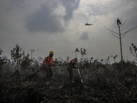 Seen a helicopter and firefighter from Manggala Agni spray water on forest burned area at Pekan Baru, Riau, Indonesia, at August 03. 2015. D...