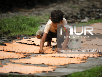 A child worker sets up leather pieces on a rack to make it dry at a tannery in Hazaribag, Dhaka, Bangladesh on October 06, 2019.  (