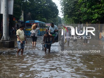 An Indian hand rickshaw puller transports people in the waterlogged street in Kolkata , India on Wednesday , Aug. 5, 2015. (
