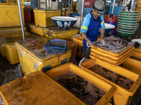 Fish market at the Muara Angke market, in Jakarta, Indonesia, on October 14, 2021. Since the Covid-19 pandemic, fish sales in Muara Angke ha...