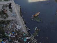 A stray dog searches for food in a water canal in Sopore, District Baramulla, Jammu and Kashmir, India on 15 October 2021. (