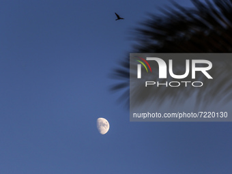 The moon rises over Deir Al- Balah city in central Gaza Strip, on Friday, 15 October, 2021. (