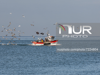 Fisher boat approaches a harbour as seagulls fly over the boat in Whitstable England on October 15, 2021. (