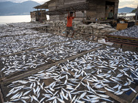 A worker collect dried fish at Mamboro Beach, Palu Bay, Central Sulawesi, Indonesia on October 16, 2021.
Indonesia is an archipelagic count...
