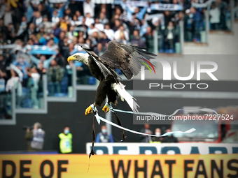 The eagle of Lazio after the Serie A match between Ss Lazio and Fc Internazionale Milano on  October 16, 2021 stadium 