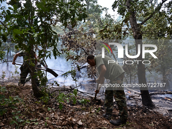 Bulgarian military spray water on forest burned area at Valcha polyana, Elhovo, Bulgaria on August 07, 2015 (