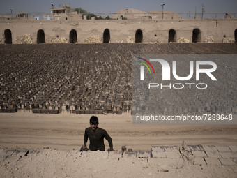 An Afghan refugee labor piles up bricks after removing them from a kiln in a brick factory, in the Borkhar area in the west of the city of I...