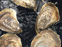 'French kiss' PEI oysters at a grocery store in Toronto, Ontario, Canada on October 20, 2021. Canada's inflation rate reached 4.1 percent in...