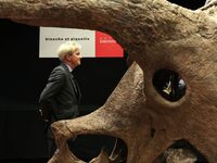 Auctioneer Alexandre Giquello poses next to a fossilized triceratops skeleton at the Hôtel Drouot, a famous auction house in Paris, during t...