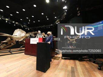 Auctioneer Alexandre Giquello receives the offers-to-buy during the auction of a fossilized triceratops skeleton at the Hôtel Drouot, a famo...