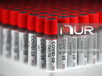 Test sample tubes labelled 'COVID-19 Delta,Delta + (plus),Alpha,Gamma,Beta,Mu,Lambda,Kappa' are pictured in this illustration of coronavirus...