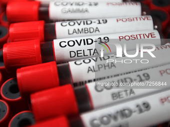 Test sample tubes labelled 'COVID-19 Delta,Delta + (plus),Alpha,Gamma,Beta,Mu,Lambda,Kappa' are pictured in this illustration of coronavirus...