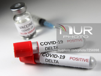 Test sample tubes labelled 'COVID-19 Delta',and  a vial with a syringe are pictured in this illustration of coronavirus variant taken in Kyi...