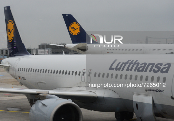 Lufthansa aircraft at Frankfurt Airport.
On Monday, October 18, 2021, in Frankfurt Airport, near Kelsterbach, Frankfurt am Main, Hesse, Germ...