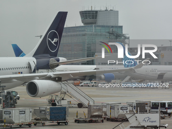 Lufthansa and United Airlines aircraft at Frankfurt Airport.
On Monday, October 18, 2021, in On Monday, October 18, 2021, in Frankfurt Airpo...