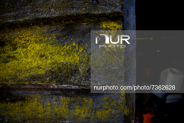 Purranque, Chile. November 8, 2021.-
Native wood planks from an old winery.
Images of the rural sector of the Los Lagos region, in Purranque...