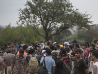 A group of migrants wait on the Macedonian-Greek border near the town of Gevgelija, on August 20, 2015.
Macedonia declared emergency at its...