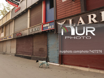Closed market during shutdown against the killing of two civilians in a military operation in Srinagar, Indian Administered Kashmir on 19 No...