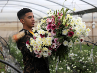 A Palestinian farmer harvests roses in a greenhouse to sell in preparation for the New Year, southern Gaza Strip, on December 29, 2021.
 (