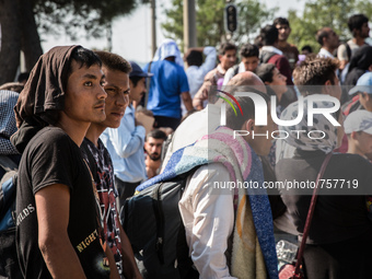 Migrants wait for Macedonian police to allow them to cross the border along the Greek-Macedonian border, near the town of Gevgelija, on Augu...