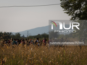 Migrants cross the border between Macedonia and Greece near the Macedonian town of Gevgelija on August 26, 2015. The EU is grappling with an...