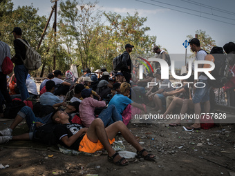 Migrants wait for the Macedonian police to allow them to cross into Macedonia at the border between Greece and Macedonia near the town of Ge...