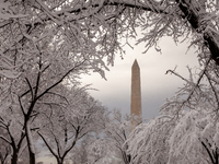 The Washington Monument is framed by snow-covered trees after an unexpected snowstorm dumped roughly 8 inches on Washington, DC. (