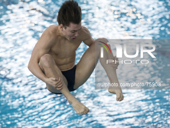 Diving italian championship, in Turin, Italy, on April 6, 2014. (
