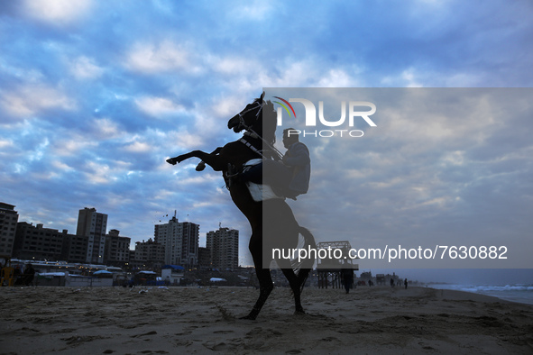 A Palestinian man rides his horse, his horse standing up on hind legs and then rearing up in the air on the Gaza Beach during sunset, on Jan...