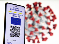 Photo illustration of a hand holding and showing the display of a mobile phone with a European EU digital Covid-19 vaccination certificate w...