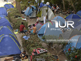 Migrants camp near the Byzantine Antimachia Castle in Kos Town, on the Greek island of Kos, on September 7, 2015. The head of the European U...