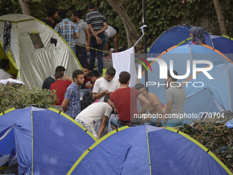 Migrants camp near the Neratzia Castle in Kos Town, on the Greek island of Kos, on September 7, 2015. The head of the European Union's execu...