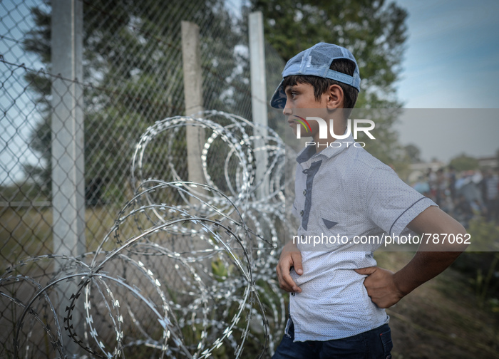 A young migrant observes Hungarian side near the razor wire fence at the Serbia-Hungary border in Horgos, on September 16, 2015. UN Secretar...